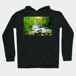 Mystic sun illuminating the Ambro river with gleaming waters Hoodie